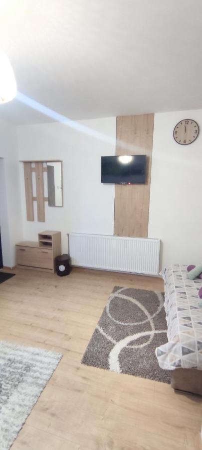 Zen Apartmani Zrenjanin Exteriör bild